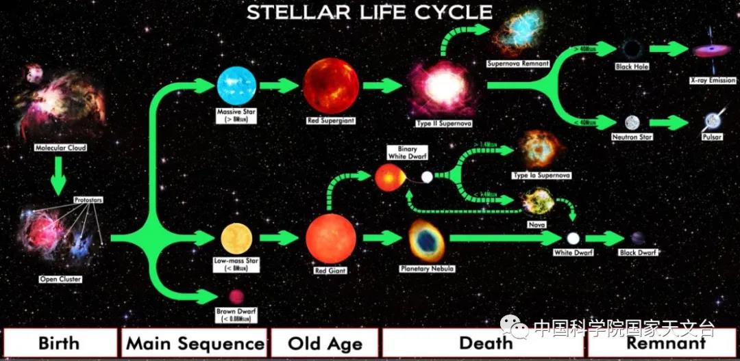 大数据时代银河系红巨星的"星口普查"